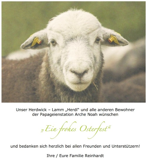 Ostergruß 2013
