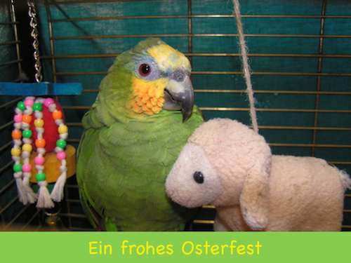 Ostergrüße 2014