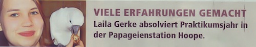 Praktikumsjahr in der Papageienstation Arche Noah