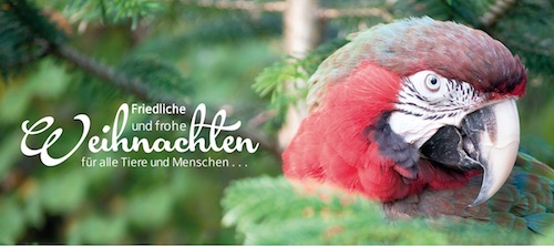 Weihnachtsbrief 2017 Klappseite 1