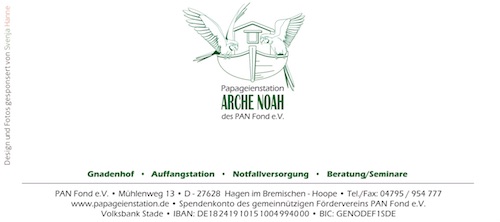 Weihnachtsbrief 2017 Klappseite 4