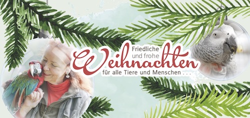 Weihnachtsbrief 2018 Klappseite 1