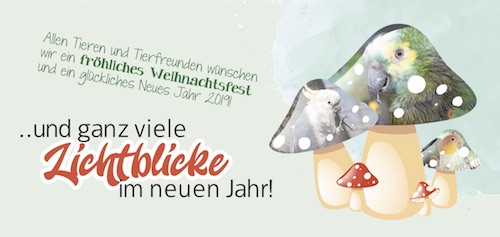 Weihnachtsbrief 2018 Klappseite 2