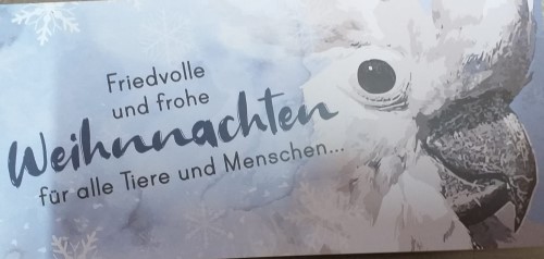 Weihnachtsbrief 2020 Klappseite 1